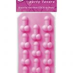 Bachelorette Party Favors Silicone Ice Tray Pink