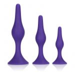 Booty Call Booty Trainer Kit Silicone Anal Plugs Purple 3 Assorted Sizes