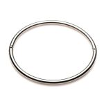 Master Series Possession Stainless Steel Locking Collar - Large