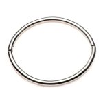 Master Series Possession Stainless Steel Locking Collar - Small