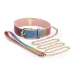 Spectra Bondage Collar and Leash - Rainbow