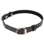 Sex and Mischief Double Buckle Day Collar - Black/Gold